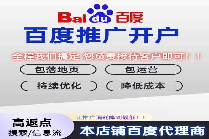 竞价推广公司案例揭秘：如何利用数据分析提升广告效果